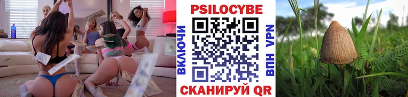 Псилоцибиновые грибы MAGIC MUSHROOMS  продажа наркотиков  Красноперекопск 